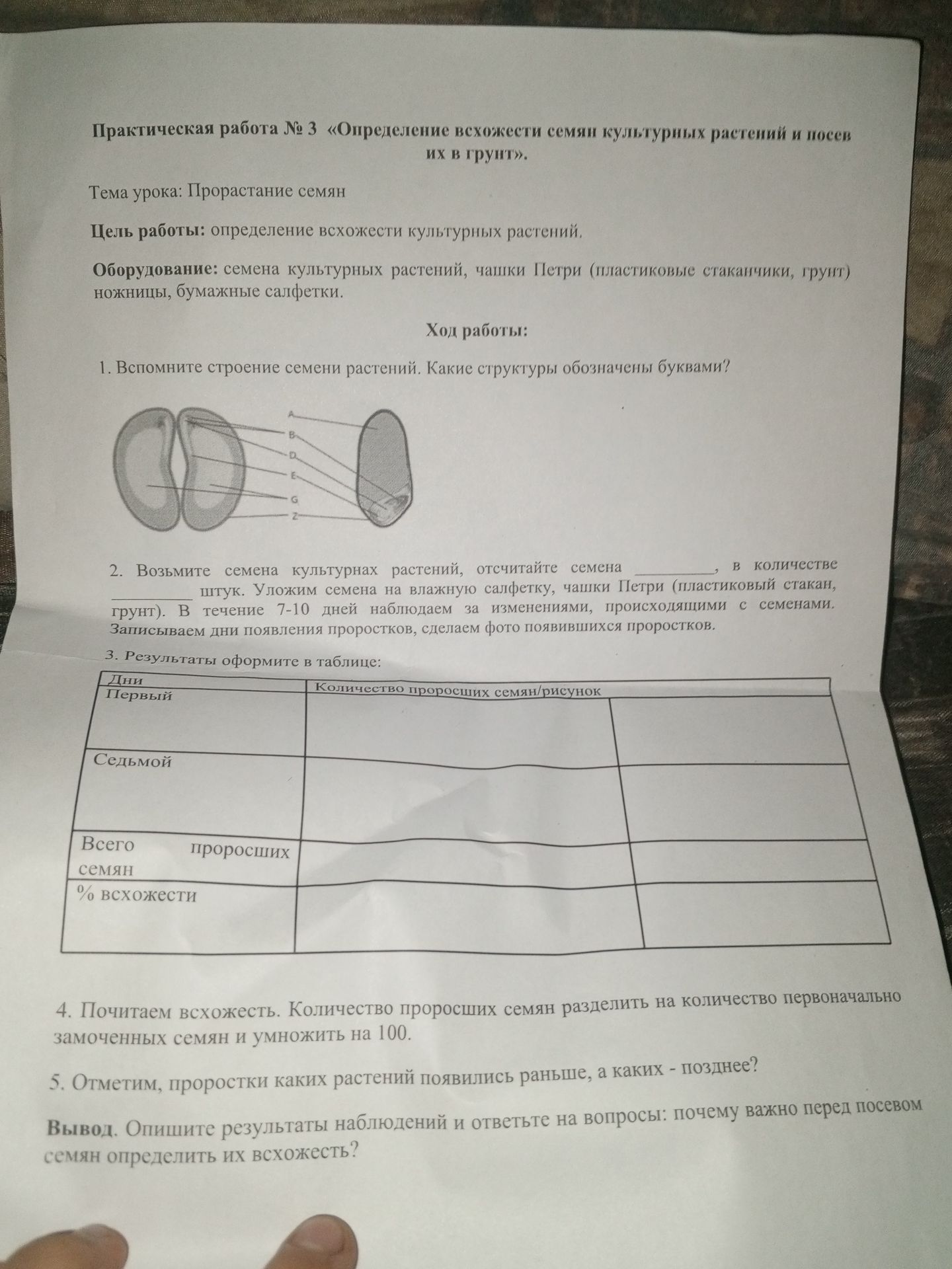 Фото задания: 2. Возьмите семена культурных растений, отсчитайте ____ штук. Уложим семена на влажную салфетку, чашки Петри (пластиковый…
