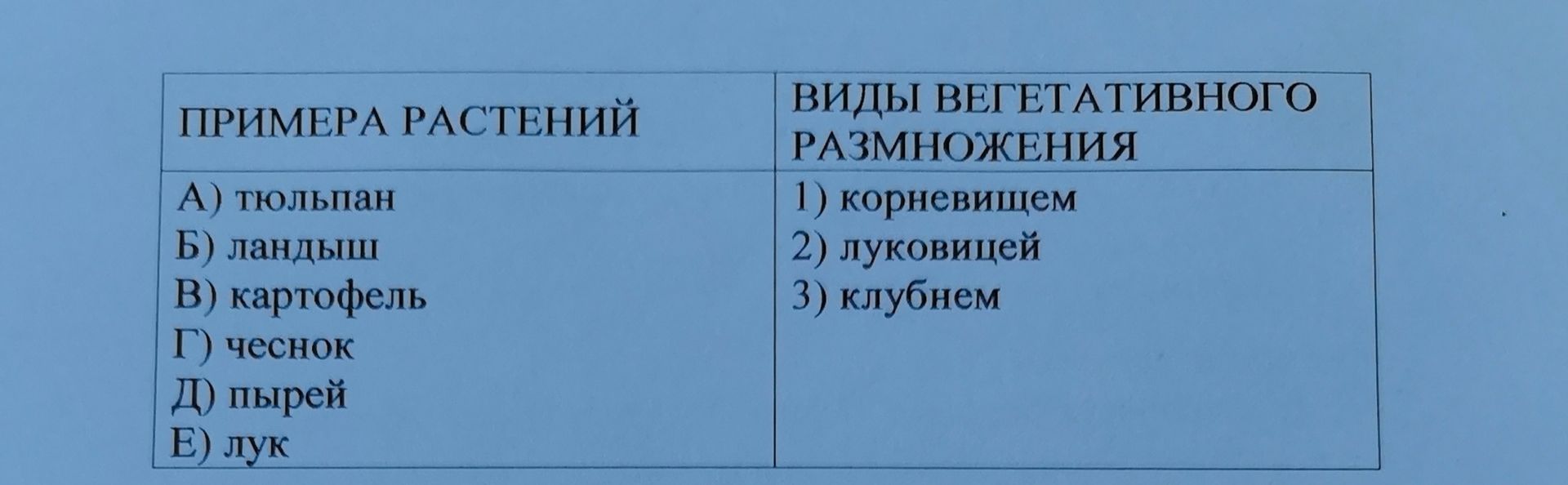 Фото задания: Сопоставьте примеры растений с видами вегетативного размножения. ПРИМЕРА РАСТЕНИЙ: А) тюльпан Б) ландыш В) картофель Г)…