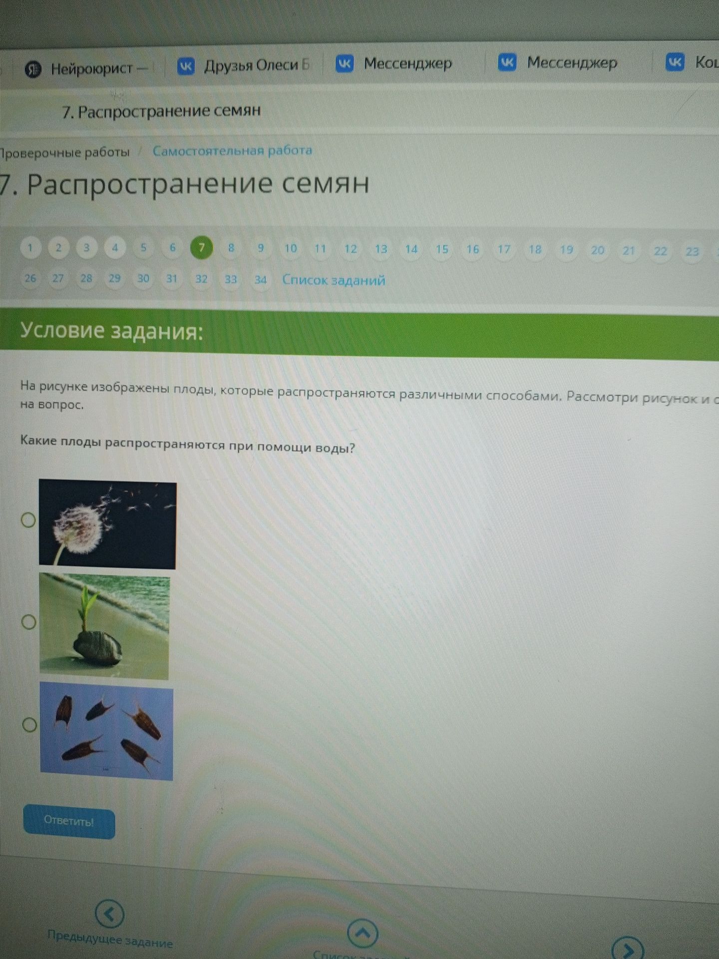 Фото задания: На рисунке изображены плоды, которые распространяются различными способами. Рассмотри рисунок и ответь на вопрос. Какие плоды…