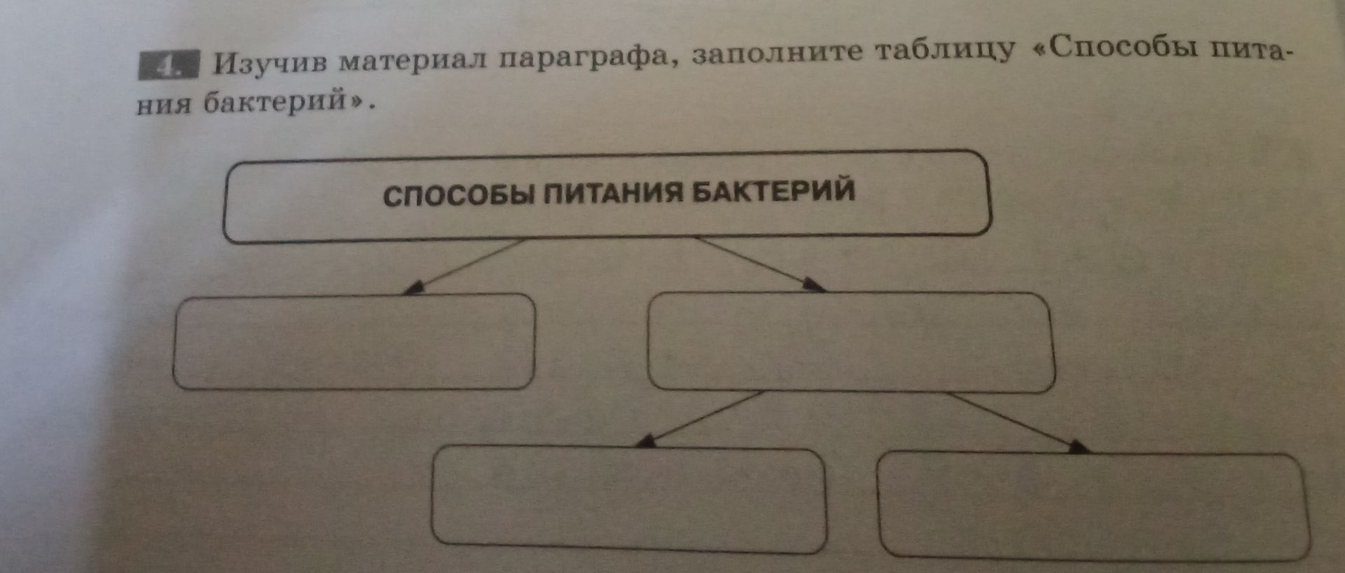 Фото задания: Изучив материал параграфа, заполните таблицу «Способы питания бактерий».