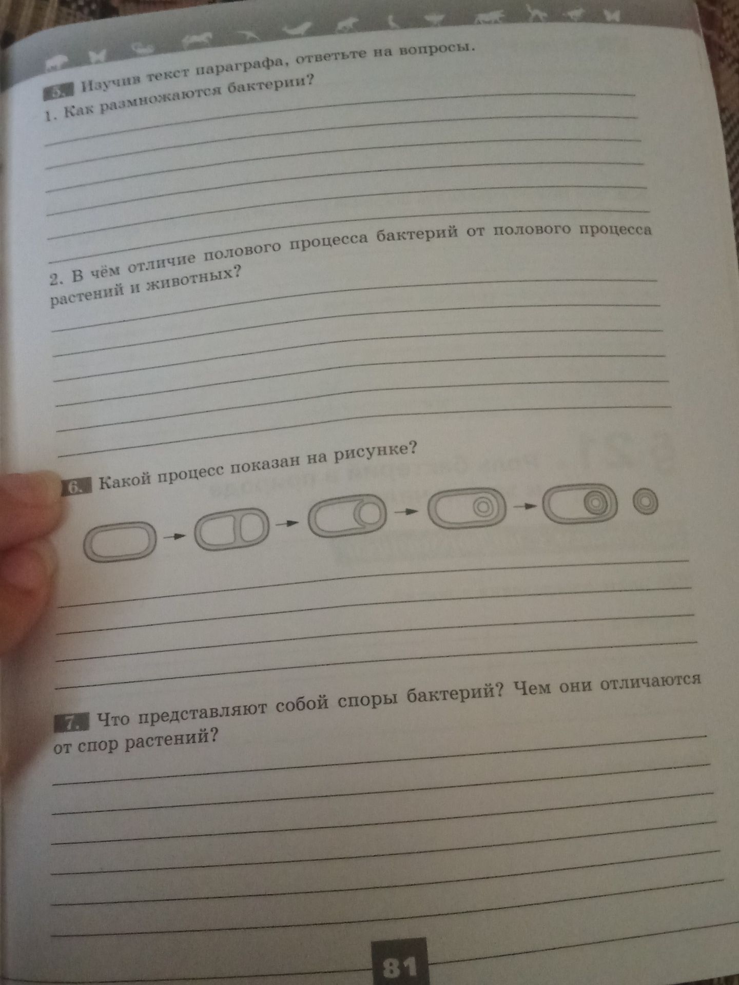 Фото задания: 1. Как размножаются бактерии?