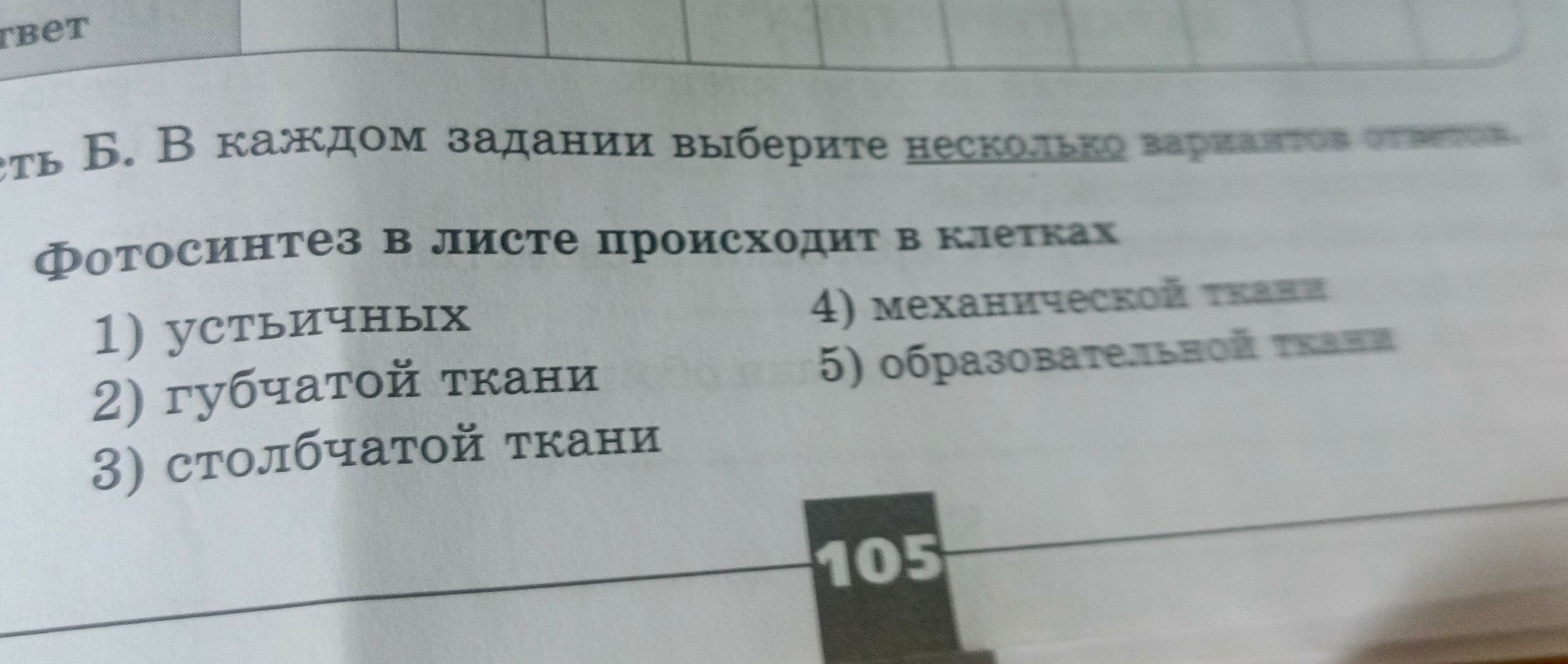 Фото задания: Фотосинтез в листе происходит в клетках