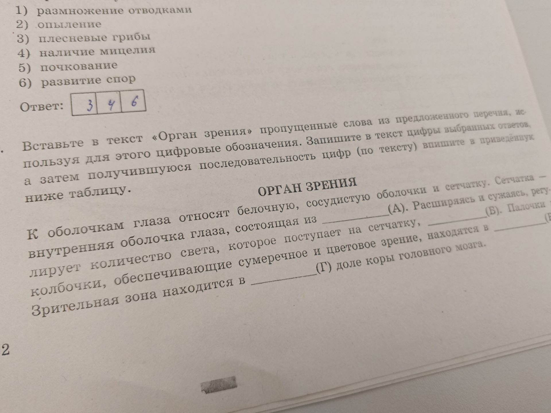 Фото задания: Вставьте в текст «Орган зрения» пропущенные слова из предложенного перечня, используя для этого цифровые обозначения.…
