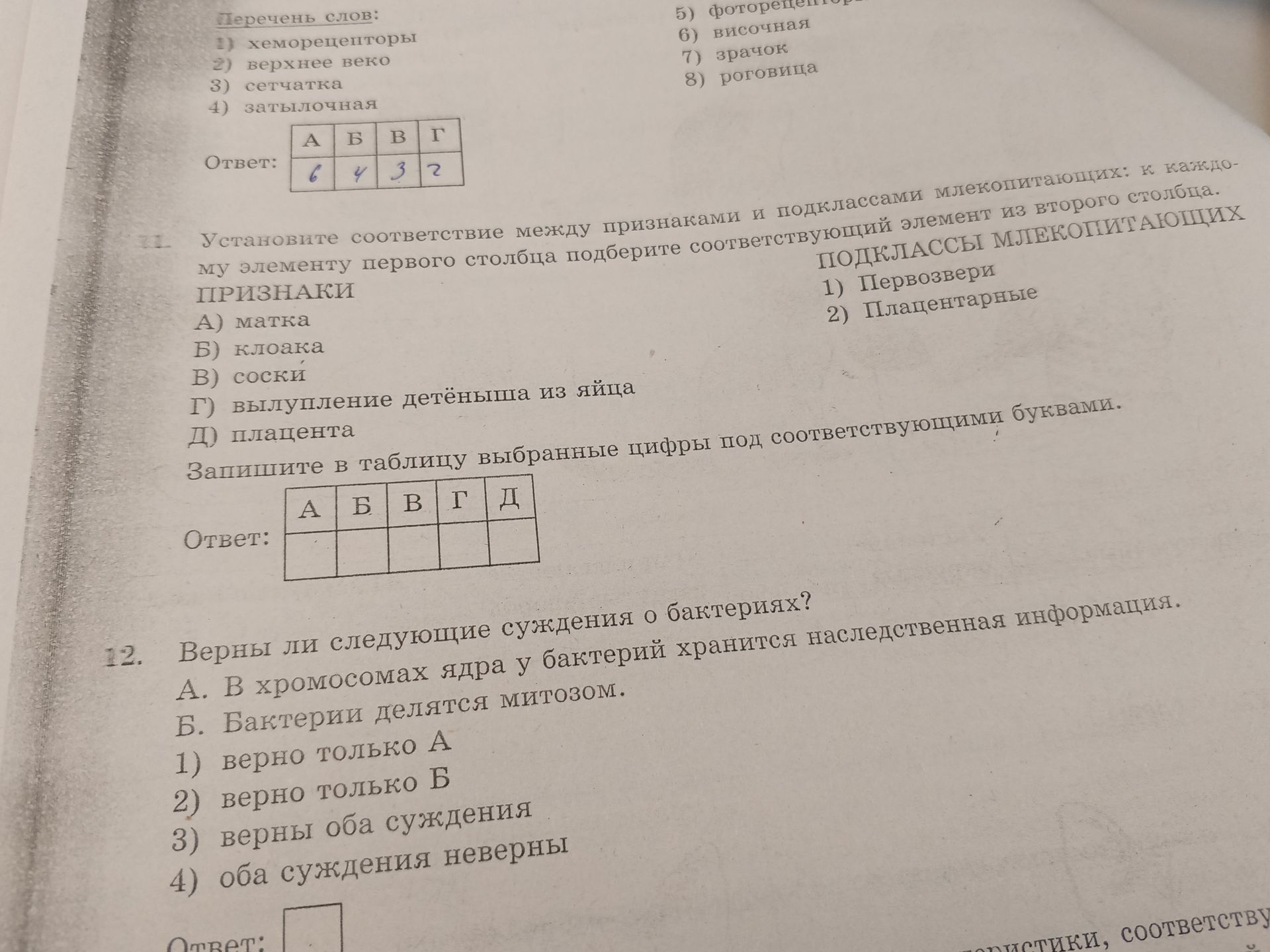 Фото задания: 12. Верны ли следующие суждения о бактериях? А. В хромосомах ядра у бактерий хранится наследственная информация. Б.…