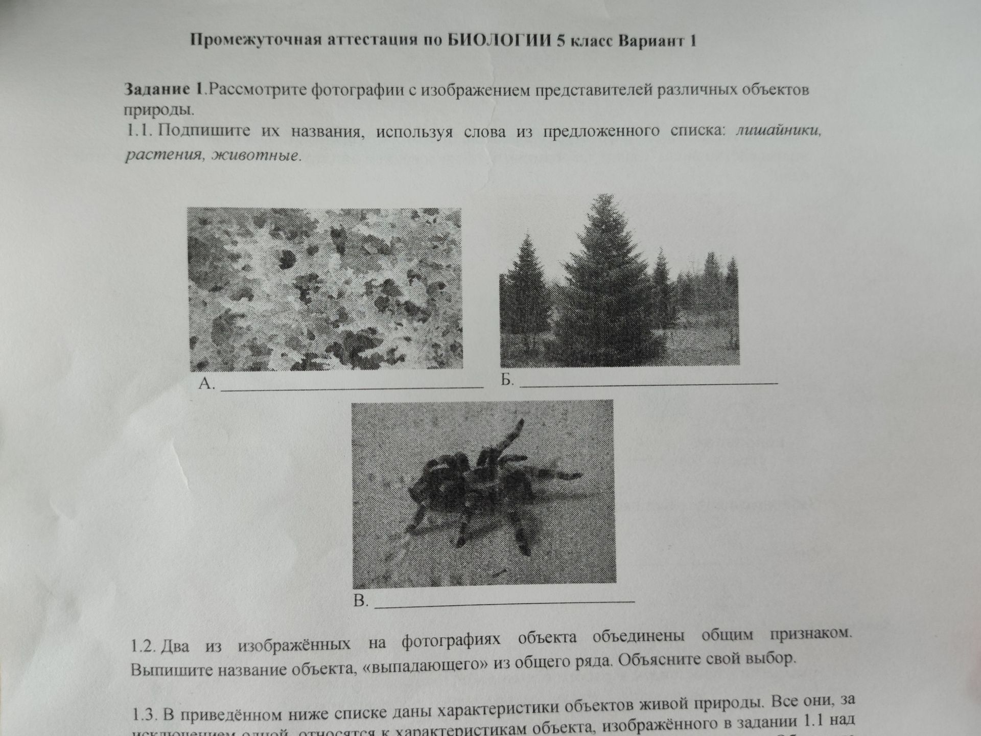 Фото задания: Промежуточная аттестация по БИОЛОГИИ 5 класс Вариант 1 Задание 1. Рассмотрите фотографии с изображением представителей…