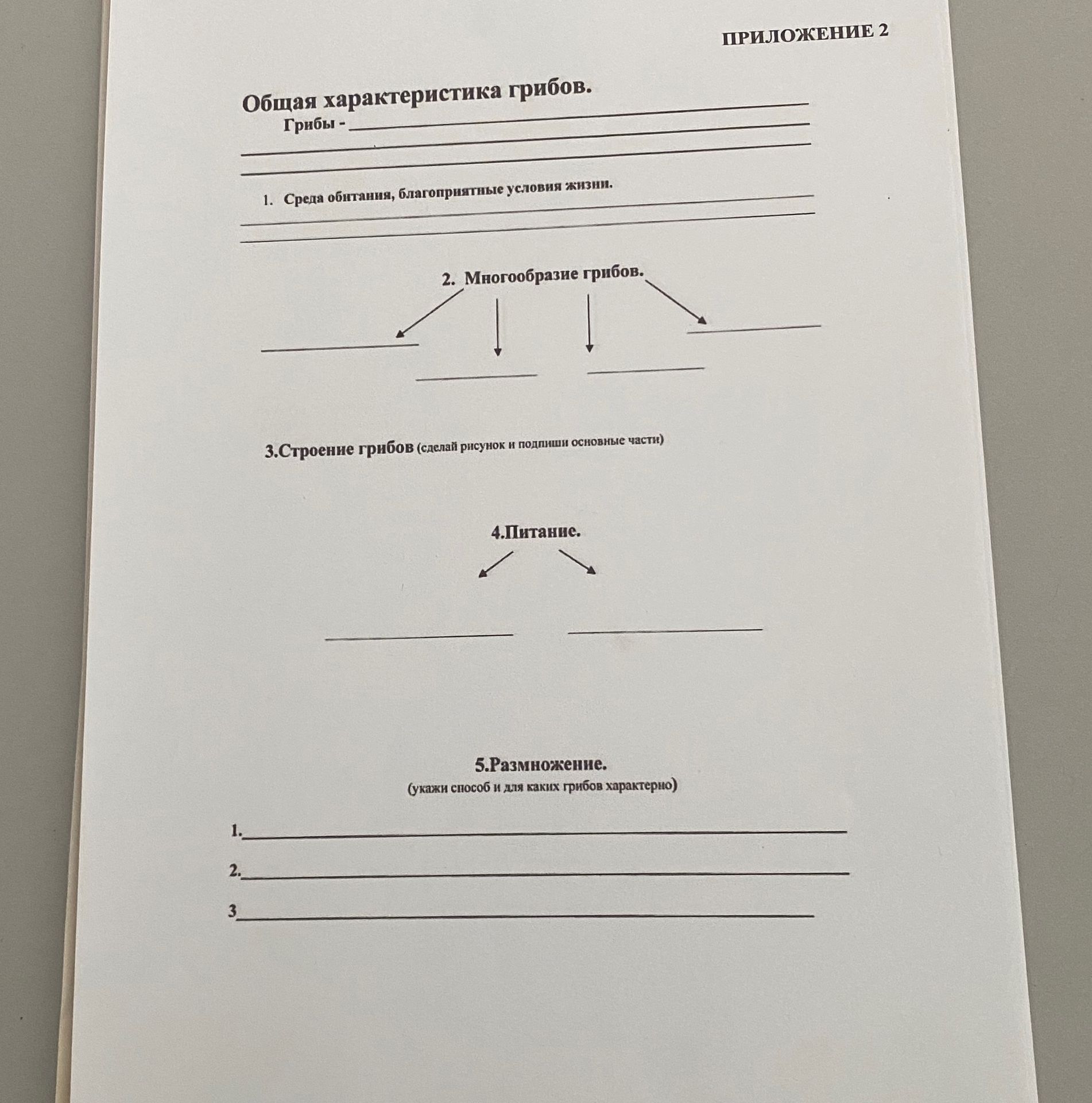 Фото задания: Общая характеристика грибов.