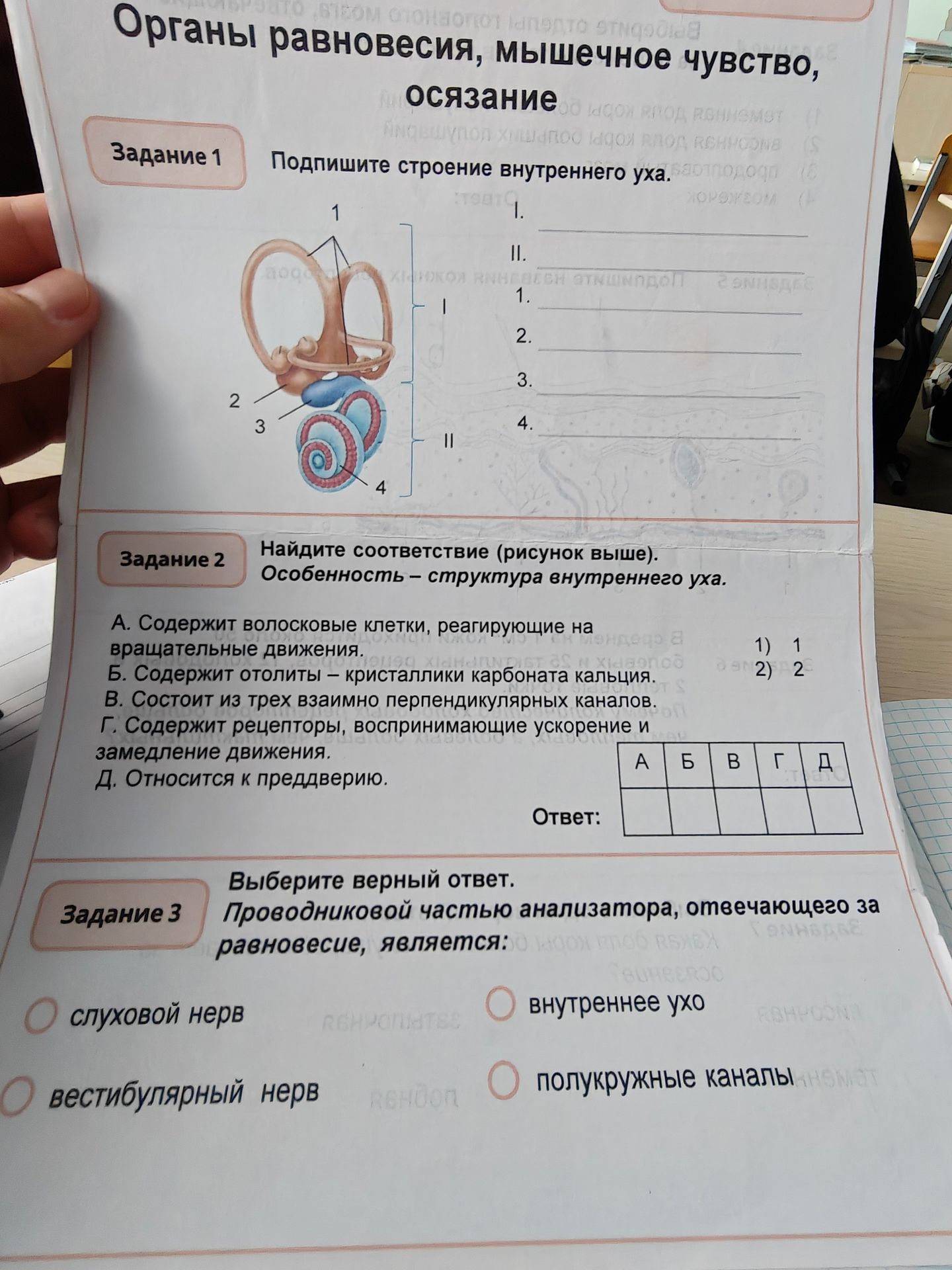 Фото задания: Задание 1: Подпишите строение внутреннего уха.