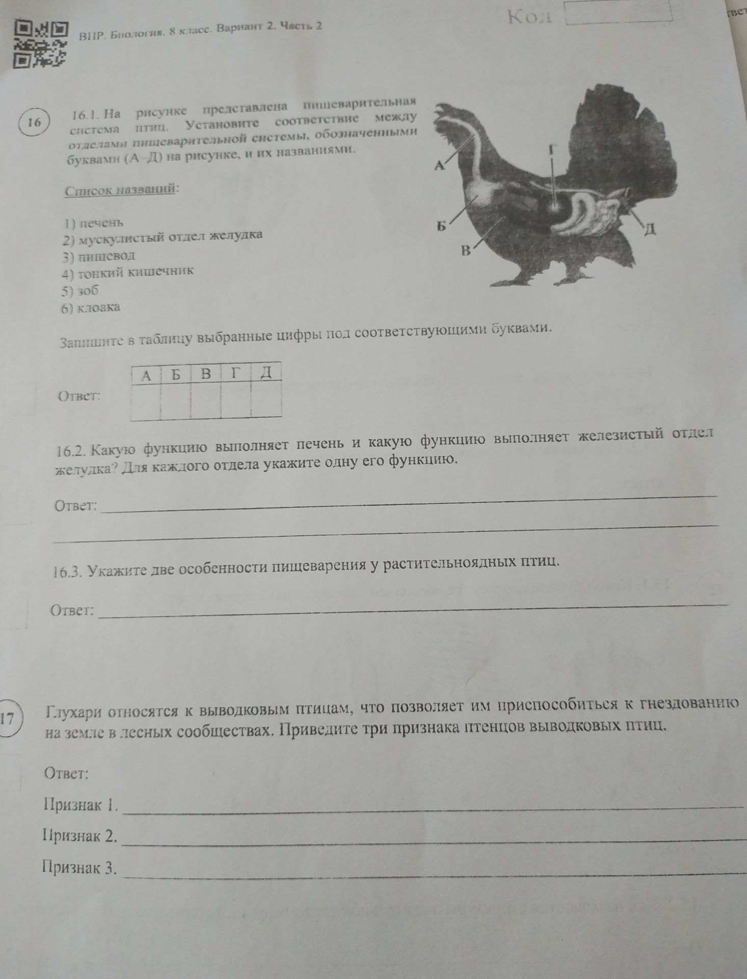Фото задания: 16.3. Укажите две особенности пищеварения у растительноядных птиц.