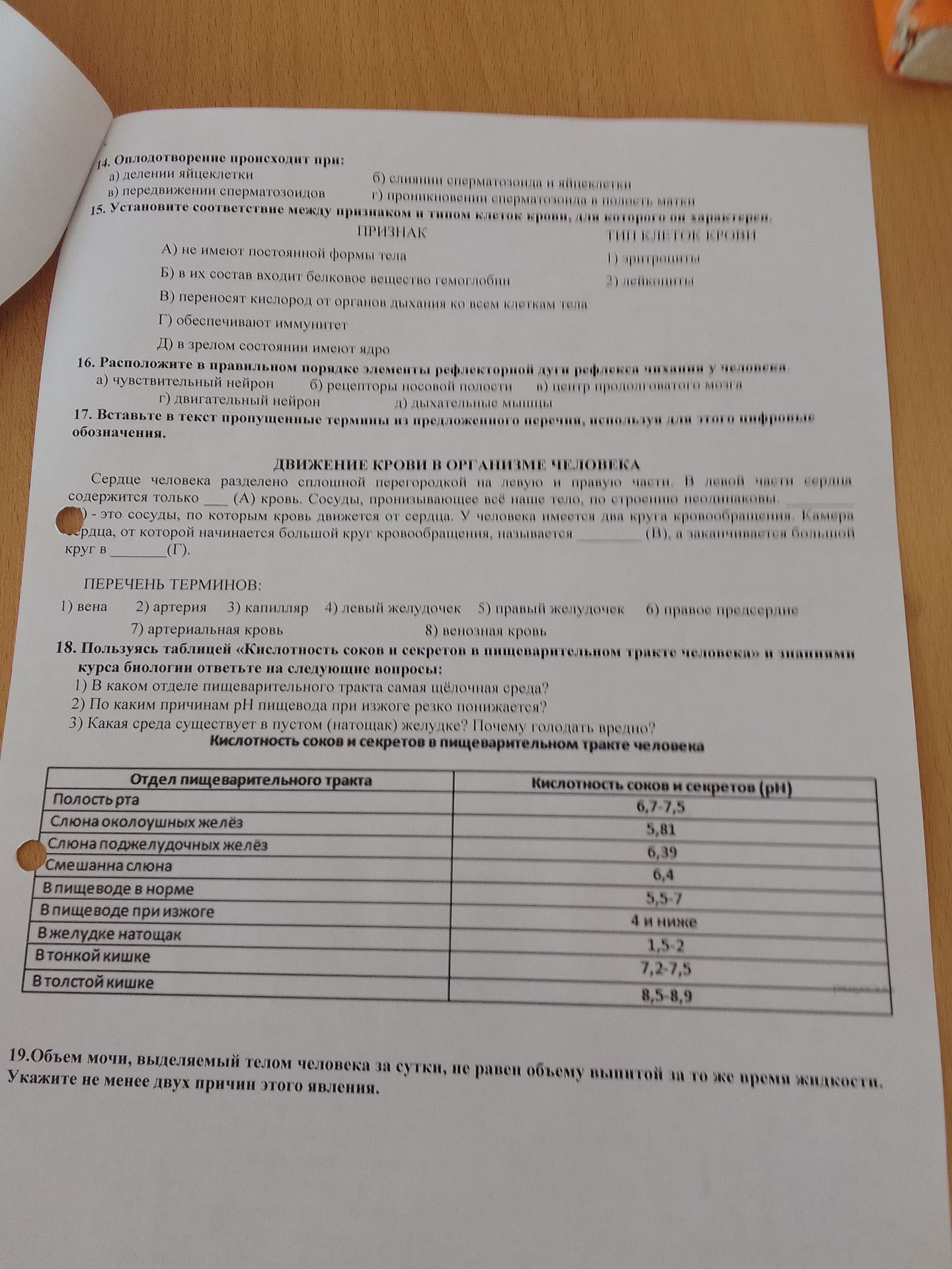 Фото задания: 14. Оплодотворение происходит при: