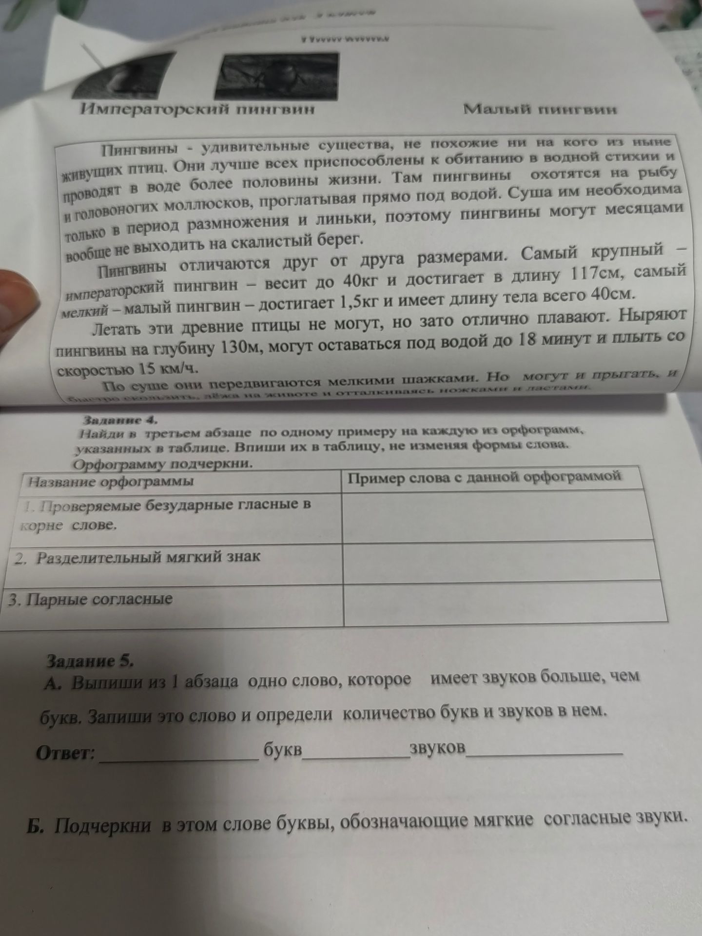 Фото задания: Подчеркни в этом слове буквы, обозначающие мягкие согласные звуки.