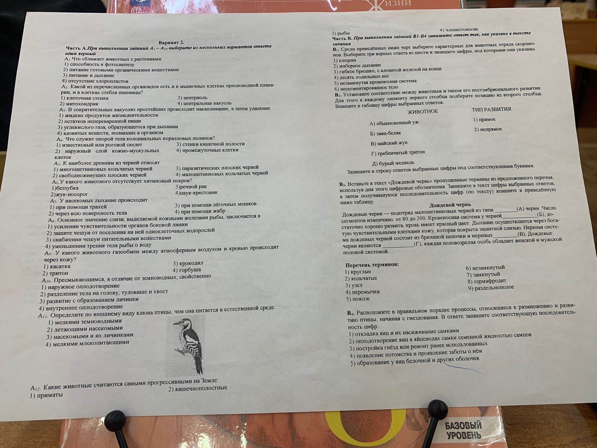 Фото задания: В4. Расположите в правильном порядке процессы, относящиеся к размножению и развитию птицы, начиная с гнездования. В ответе…