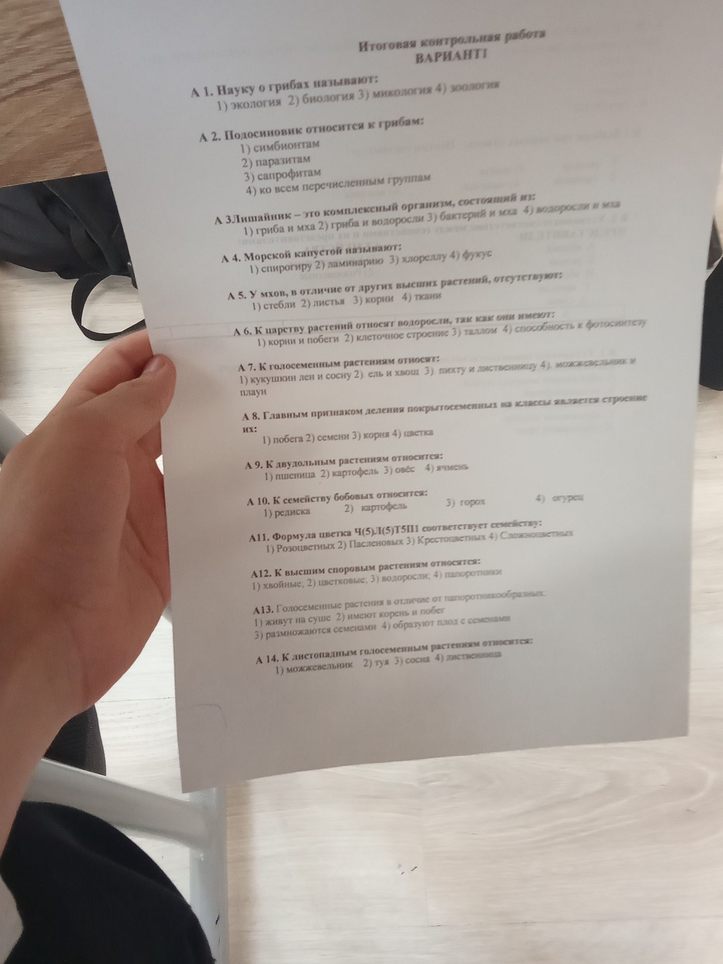 Фото задания: А 2. Подосиновик относится к грибам: 1) симбионтам 2) паразитам 3) сапрофитам 4) ко всем перечисленным группам