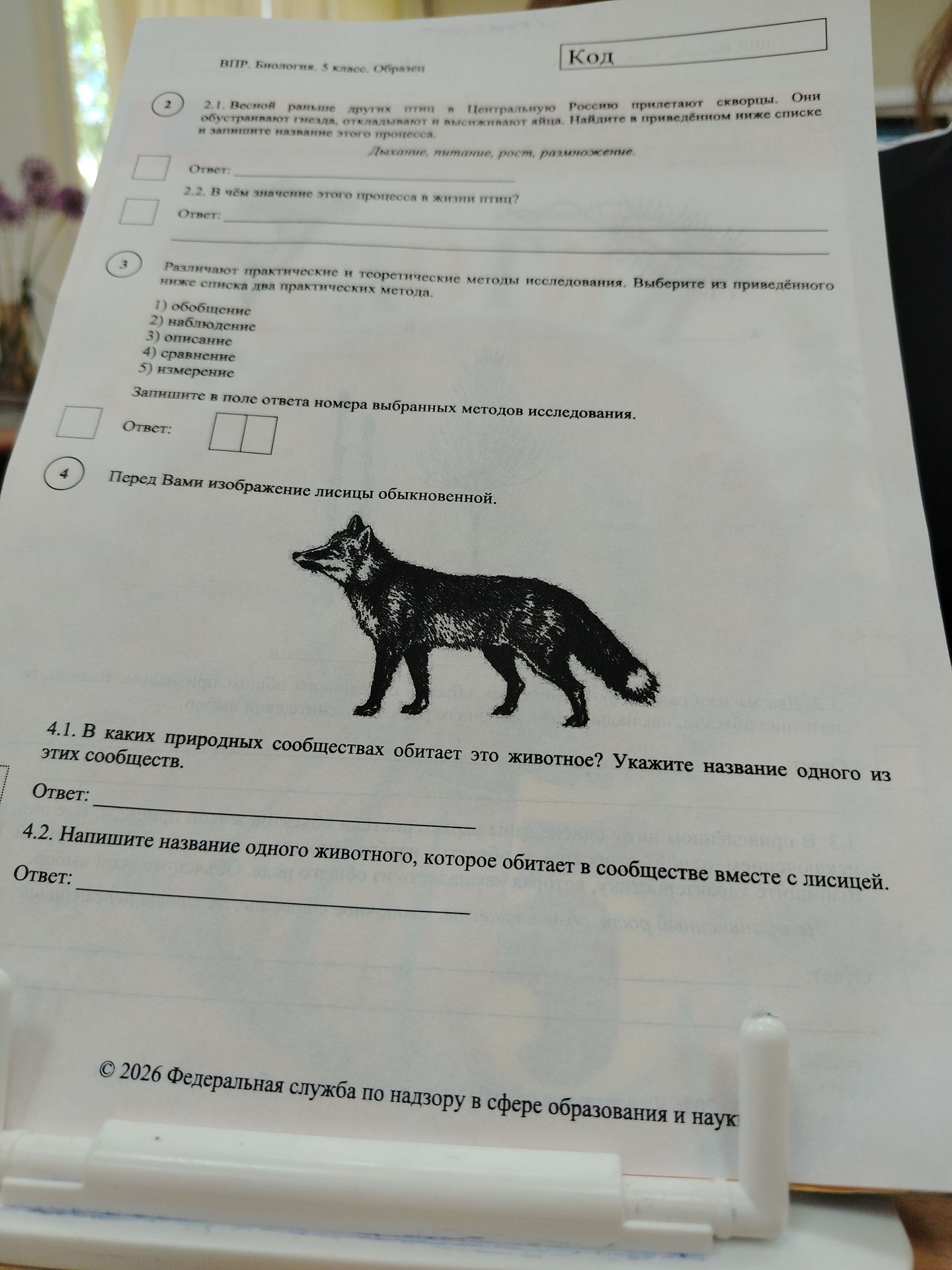 Фото задания: 4.2. Напишите название одного животного, которое обитает в сообществе вместе с лисицей.