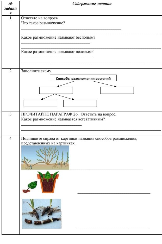 Фото задания: Какое размножение называют бесполым?