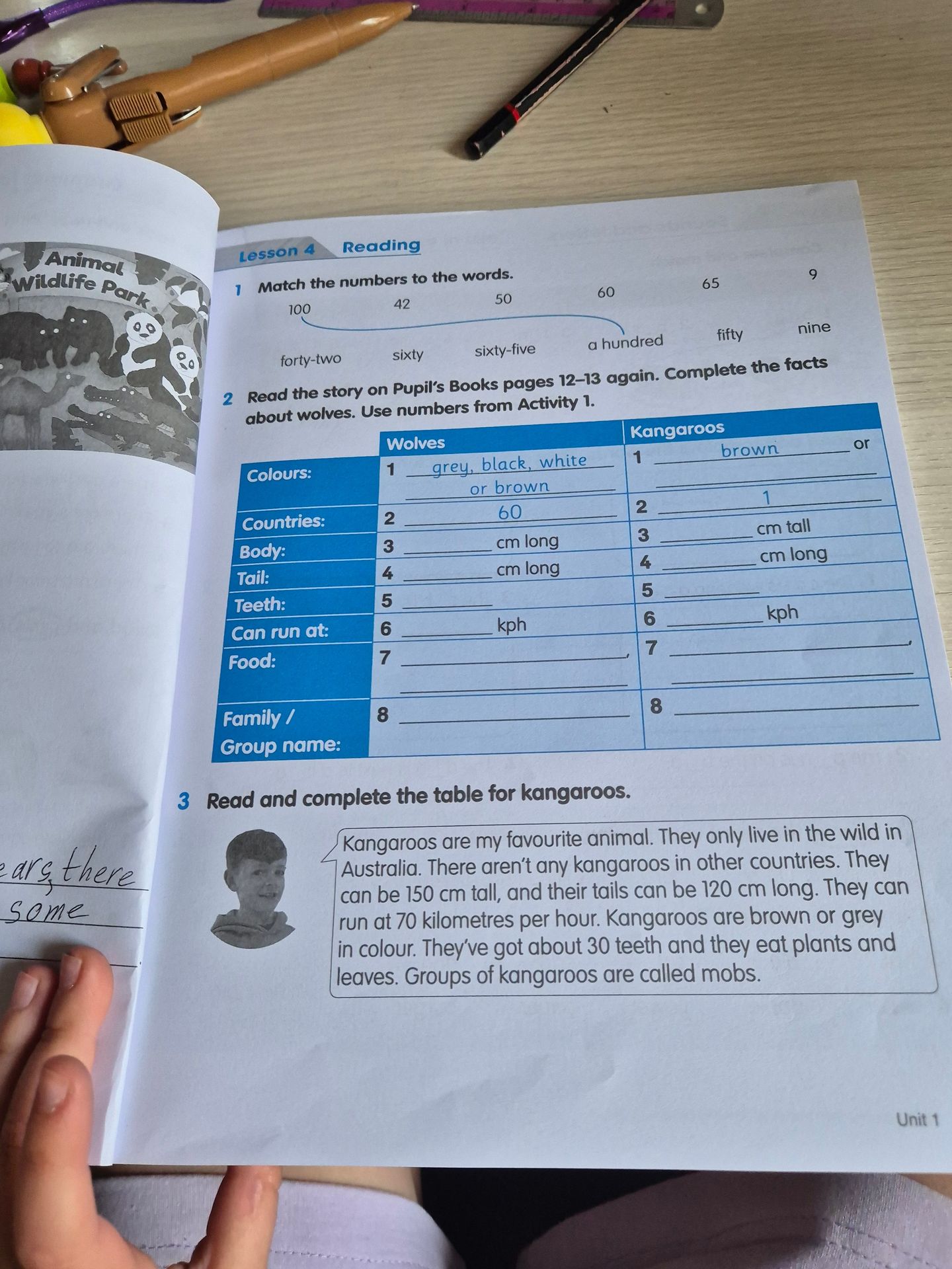Фото задания: 3 Read and complete the table for kangaroos.