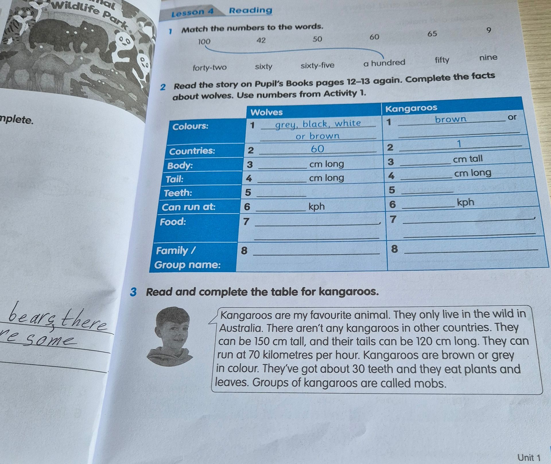 Фото задания: Read and complete the table for kangaroos.