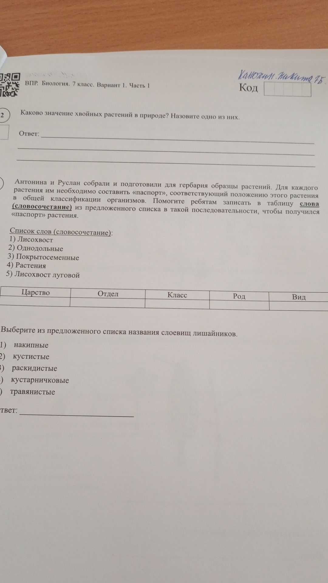 Фото задания: Каково значение хвойных растений в природе? Назовите одно из них.