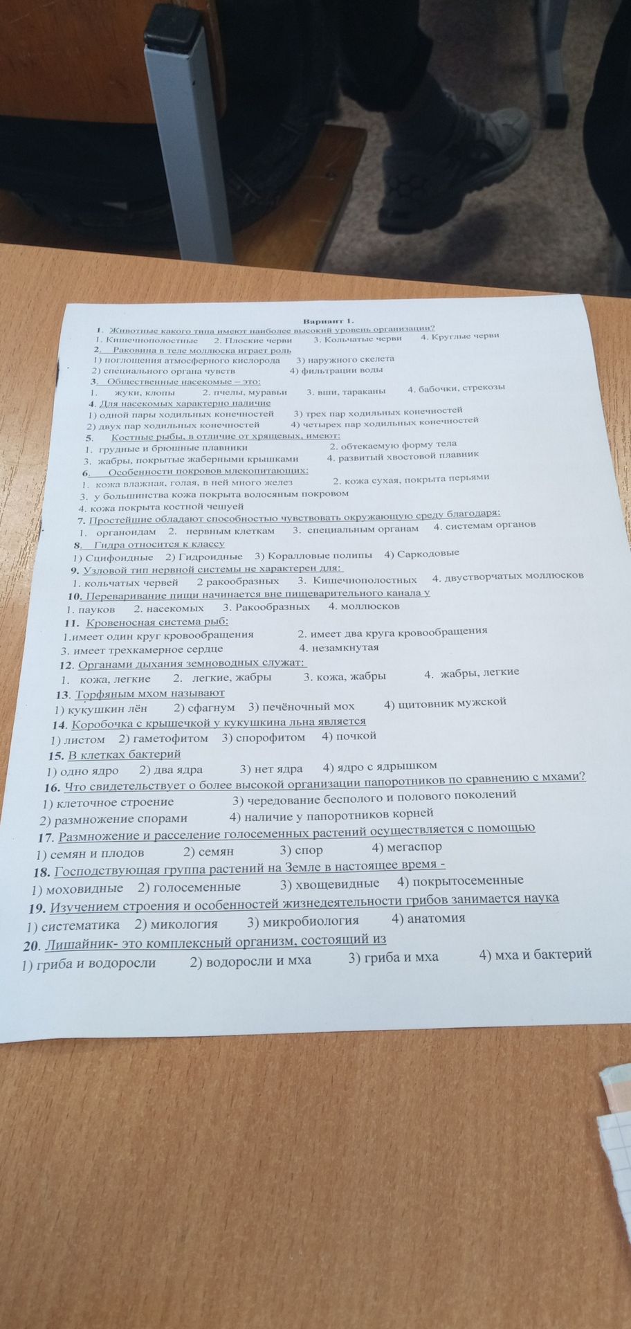 Фото задания: 11. Кровеносная система рыб: