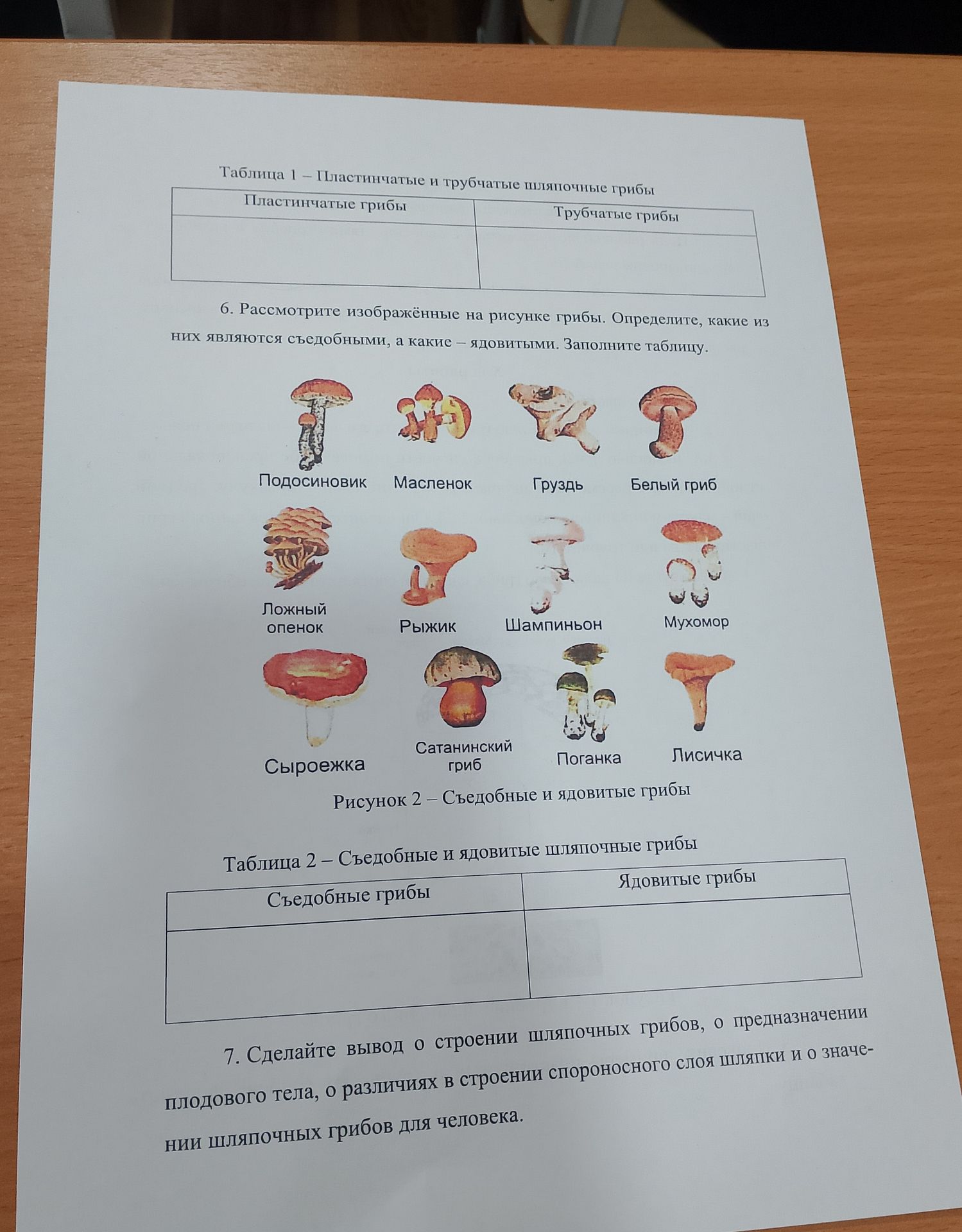 Фото задания: 6. Рассмотрите изображённые на рисунке грибы. Определите, какие из них являются съедобными, а какие – ядовитыми. Заполните…