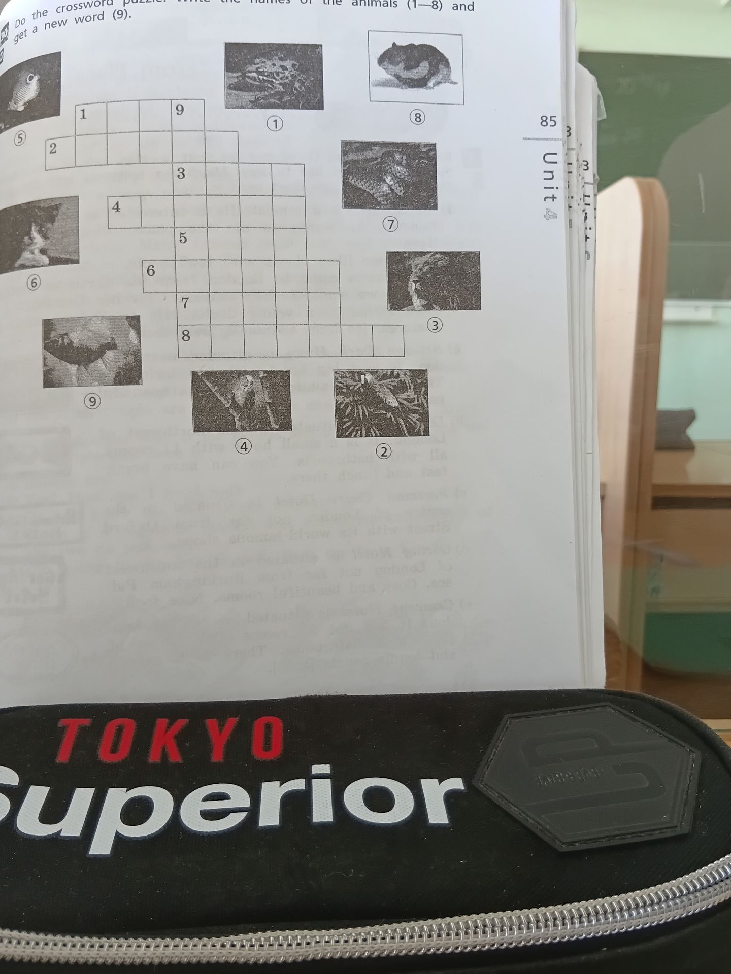 Фото задания: Do the crossword puzzle. Write the names of the animals (1–8) and get a new word (9).