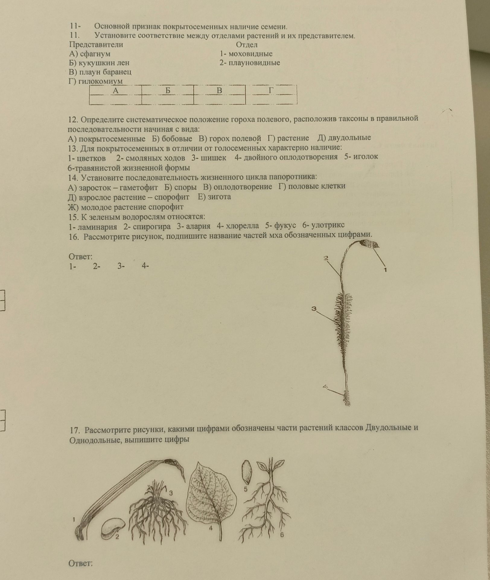 Фото задания: 16. Рассмотрите рисунок, подпишите название частей мха обозначенных цифрами.