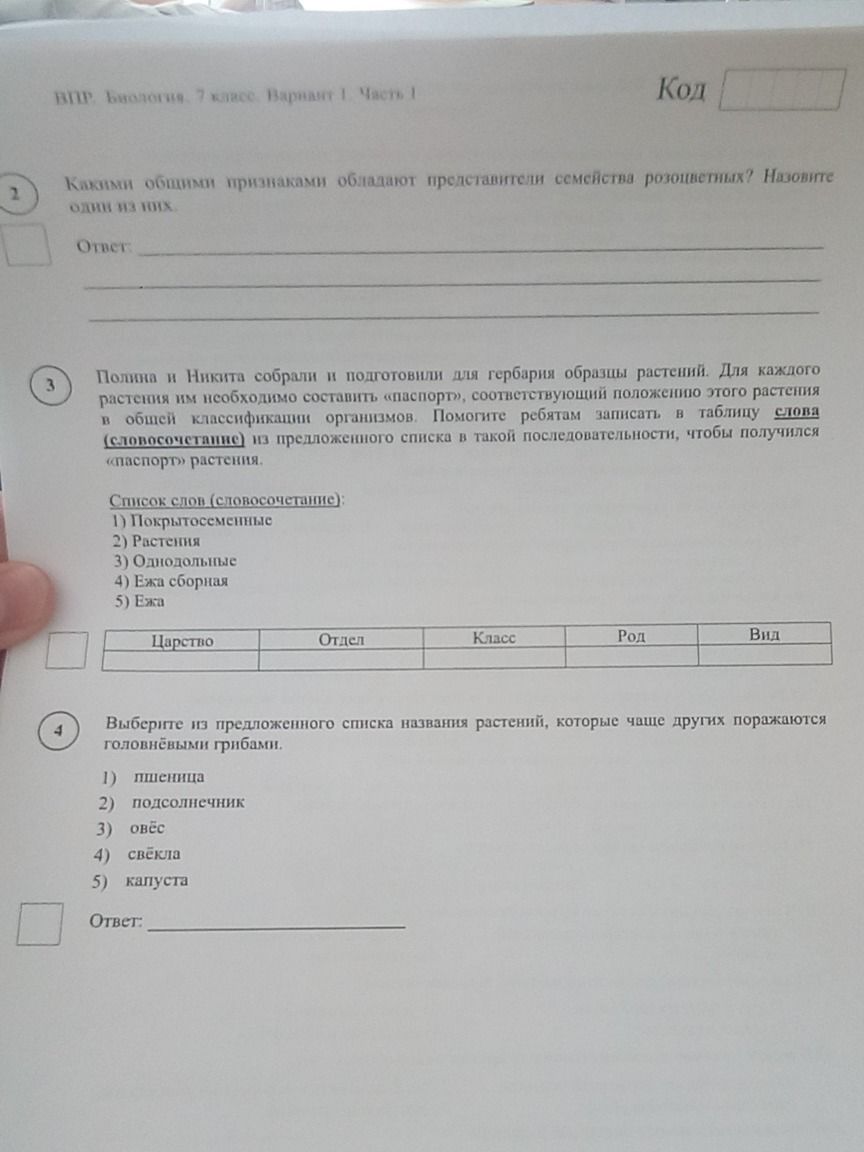 Фото задания: Выберите из предложенного списка названия растений, которые чаще других поражаются головнёвыми грибами.