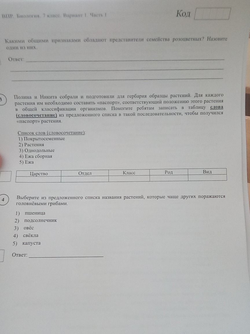 Фото задания: Полина и Никита собрали и подготовили для гербария образцы растений. Для каждого растения им необходимо составить…