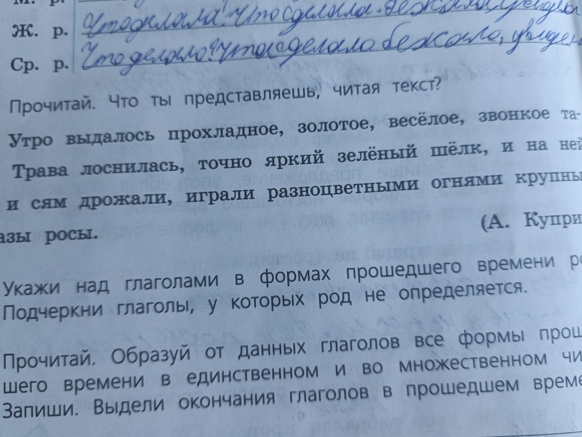 Фото задания: Прочитай. Образуй от данных глаголов все формы прошедшего времени в единственном и во множественном числе. Запиши. Выдели…