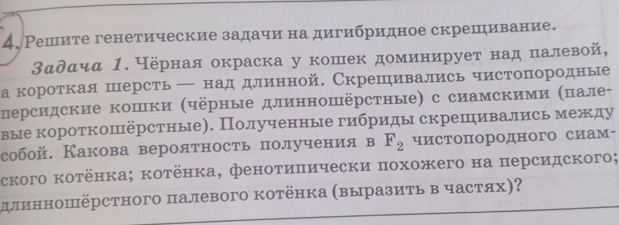 Фото задания: Решите генетические задачи на дигибридное скрещивание. Задача 1. Чёрная окраска у кошек доминирует над палевой, а короткая…