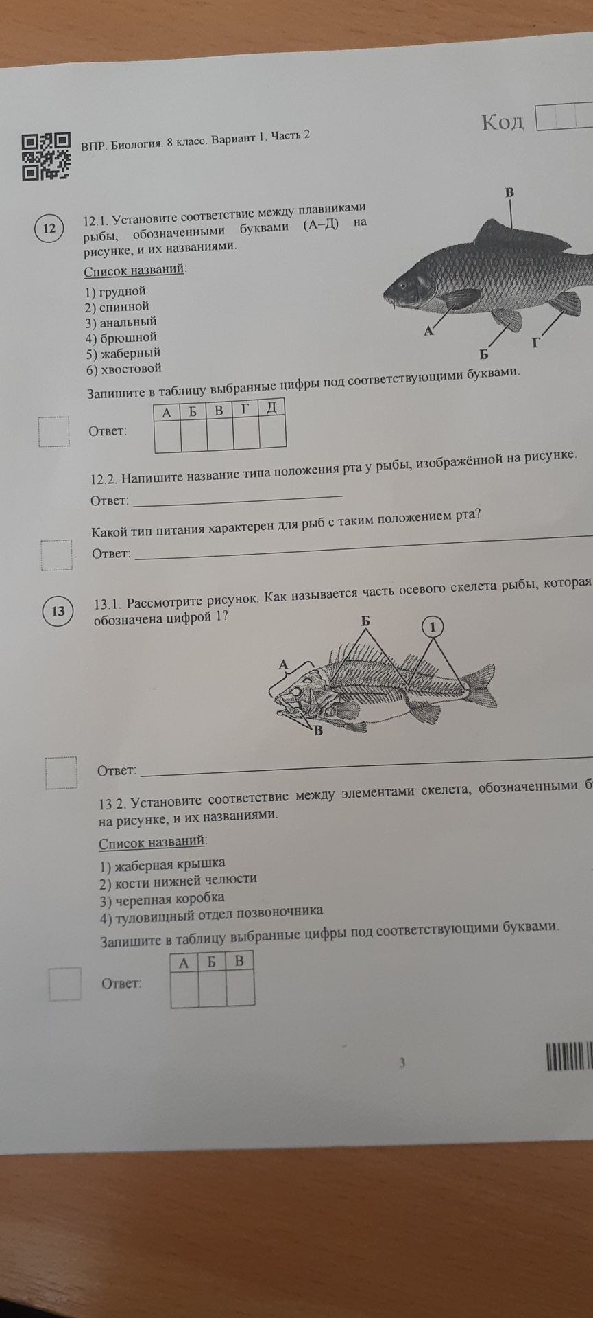 Фото задания: 12.2. Напишите название типа положения рта у рыбы, изображённой на рисунке.
