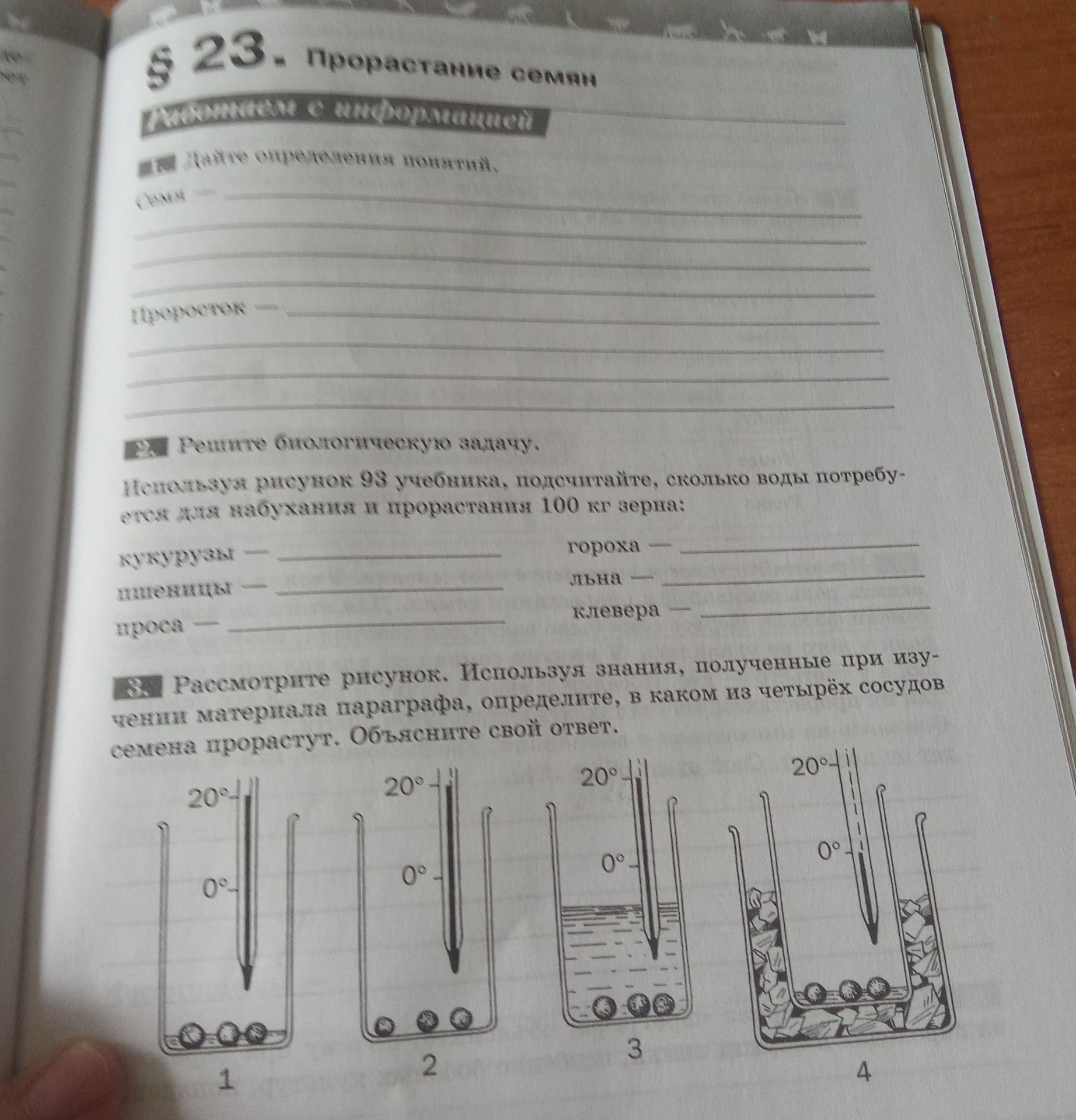 Фото задания: § 23. Прорастание семян Работаем с информацией 1. Дайте определения понятий. Семи - Проросток -