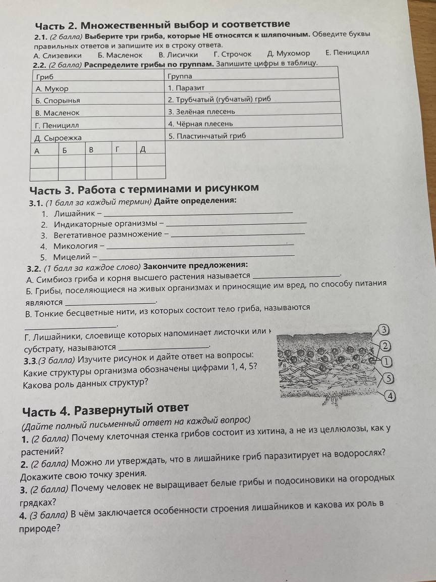 Фото задания: 3.2. (1 балл за каждое слово) Закончите предложения: А. Симбиоз гриба и корня высшего растения называется Б. Грибы,…