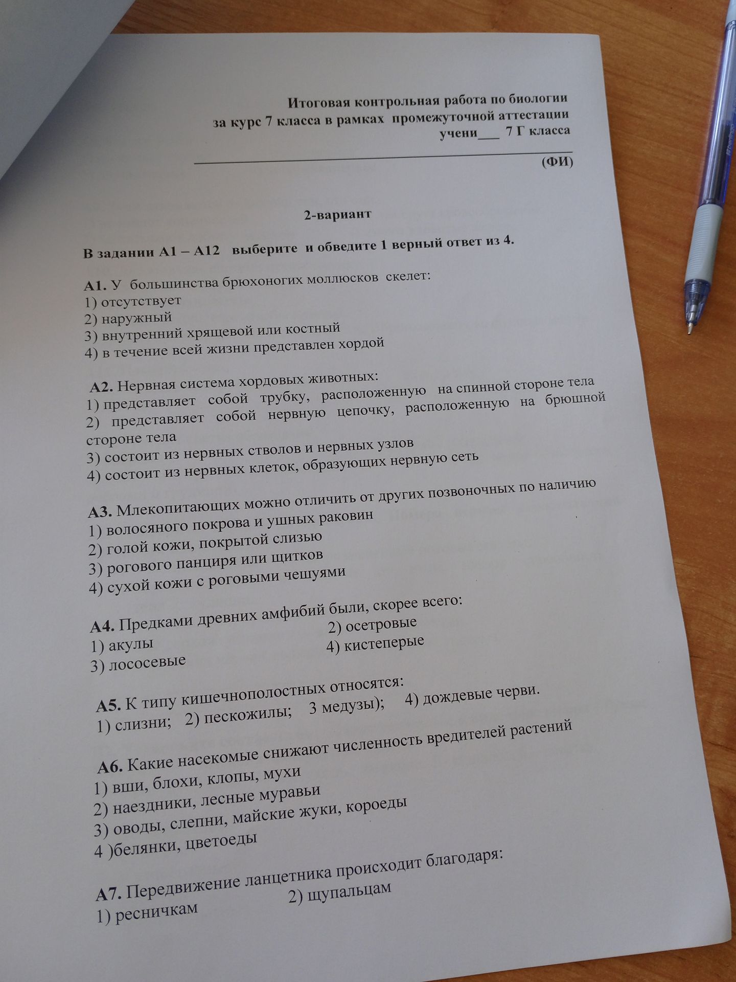 Фото задания: А2. Нервная система хордовых животных: 1) представляет собой трубку, расположенную на спинной стороне тела 2) представляет…