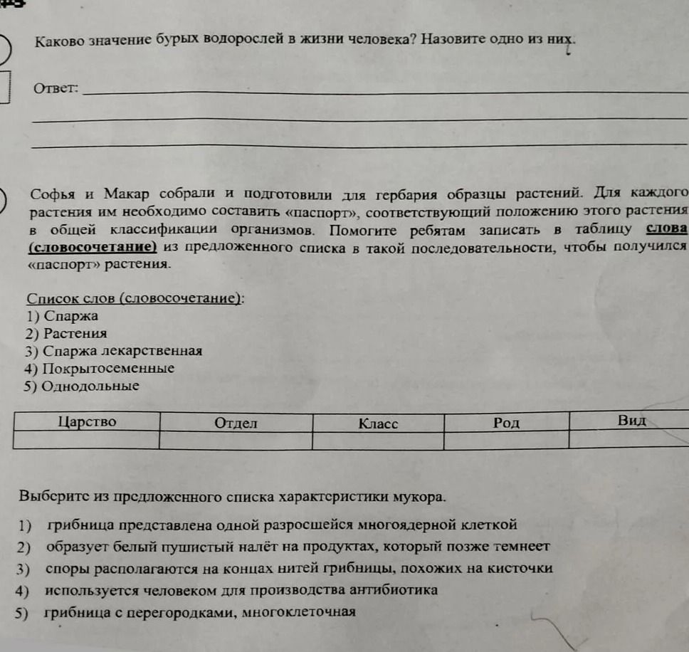 Фото задания: Каково значение бурых водорослей в жизни человека? Назовите одно из них.