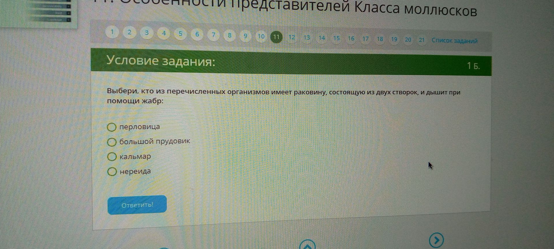 Фото задания: Выберите, кто из перечисленных организмов имеет раковину, состоящую из двух створок, и дышит при помощи жабр: