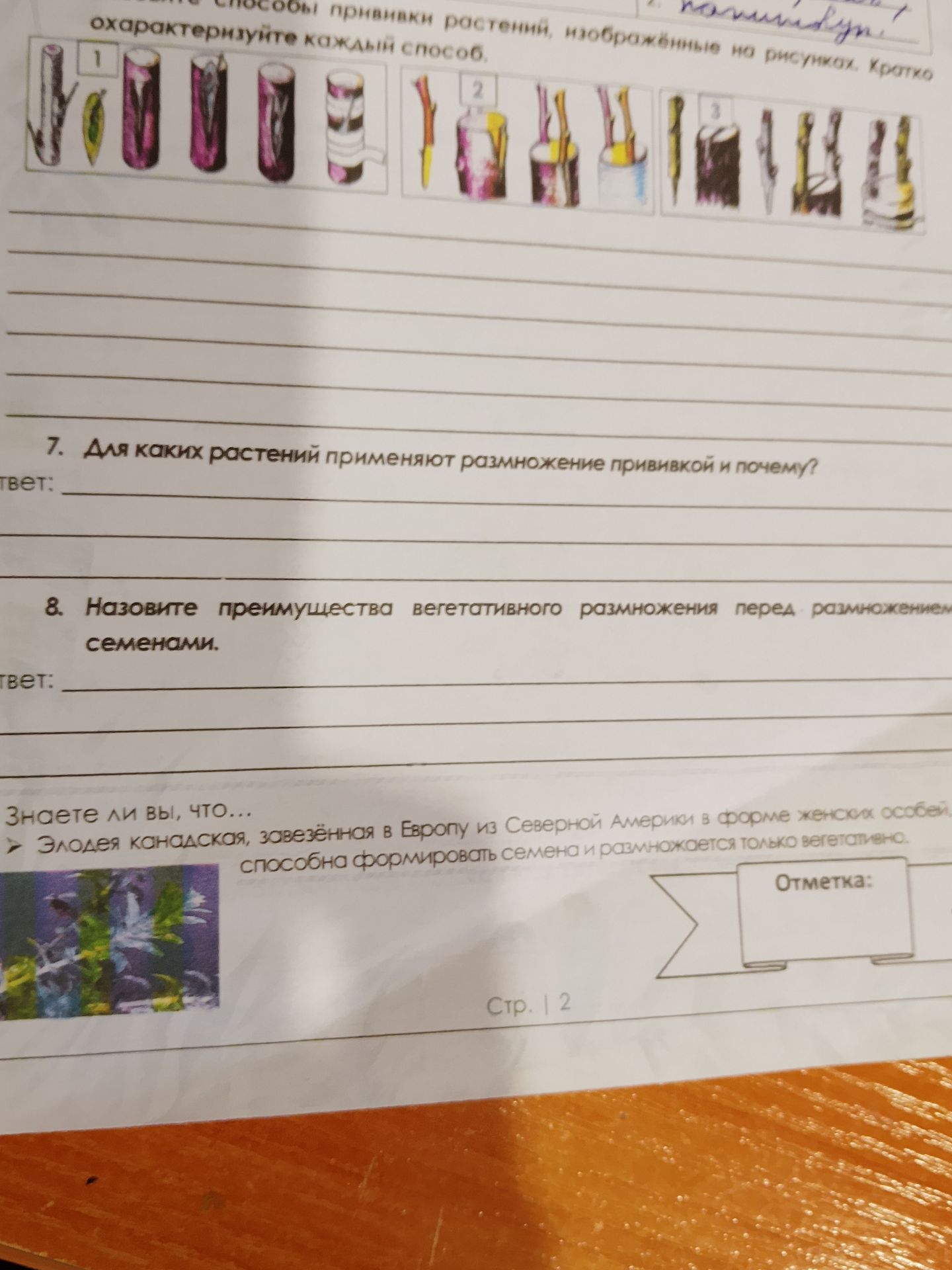 Фото задания: 1. Охарактеризуйте каждый способ прививки растений, изображённые на рисунках. Кратко.