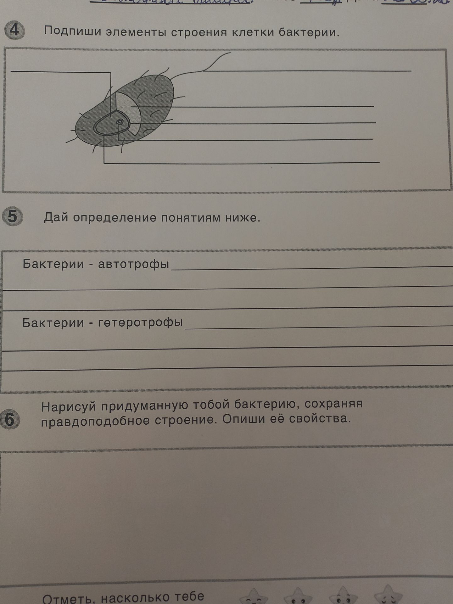 Фото задания: Бактерии - гетеротрофы