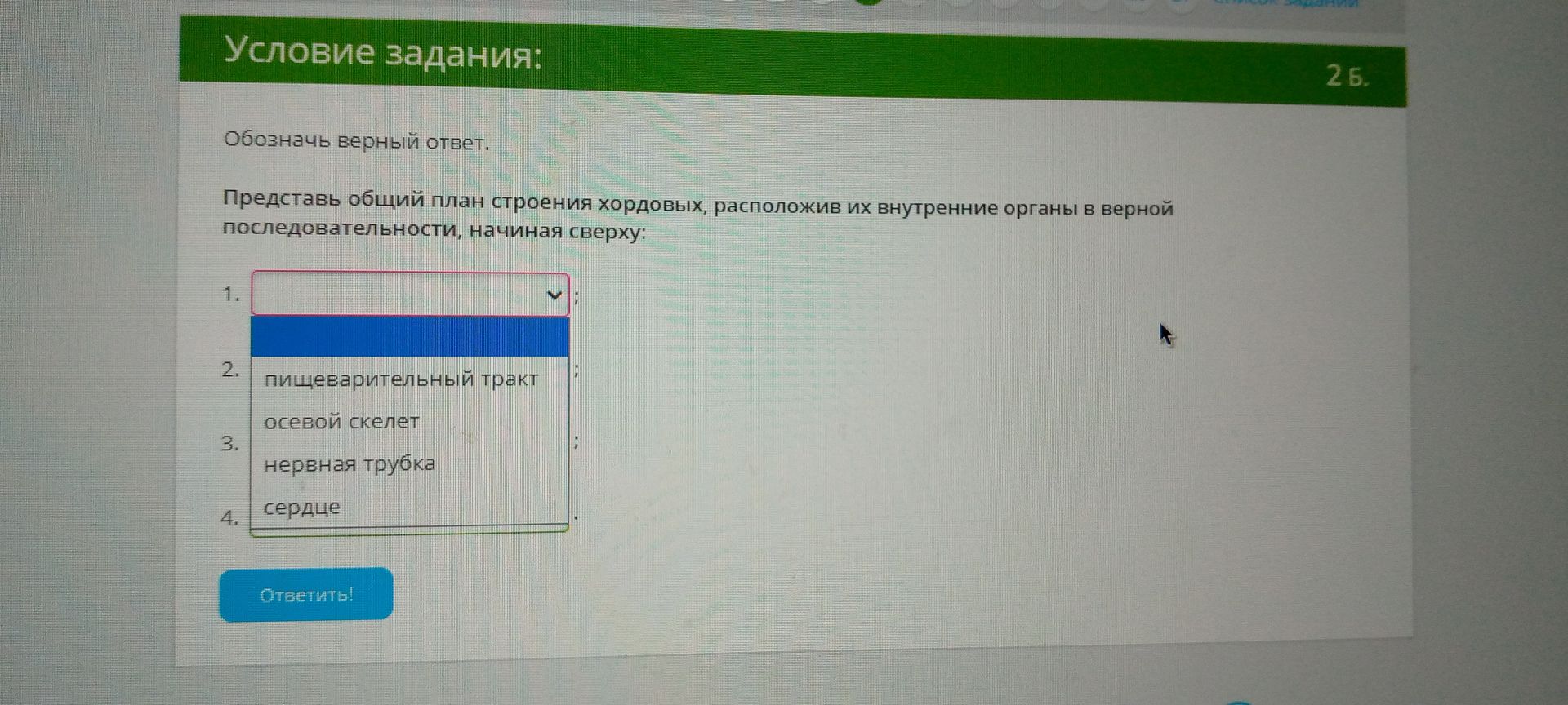 Фото задания: Представь общий план строения хордовых, расположив их внутренние органы в верной последовательности, начиная сверху: