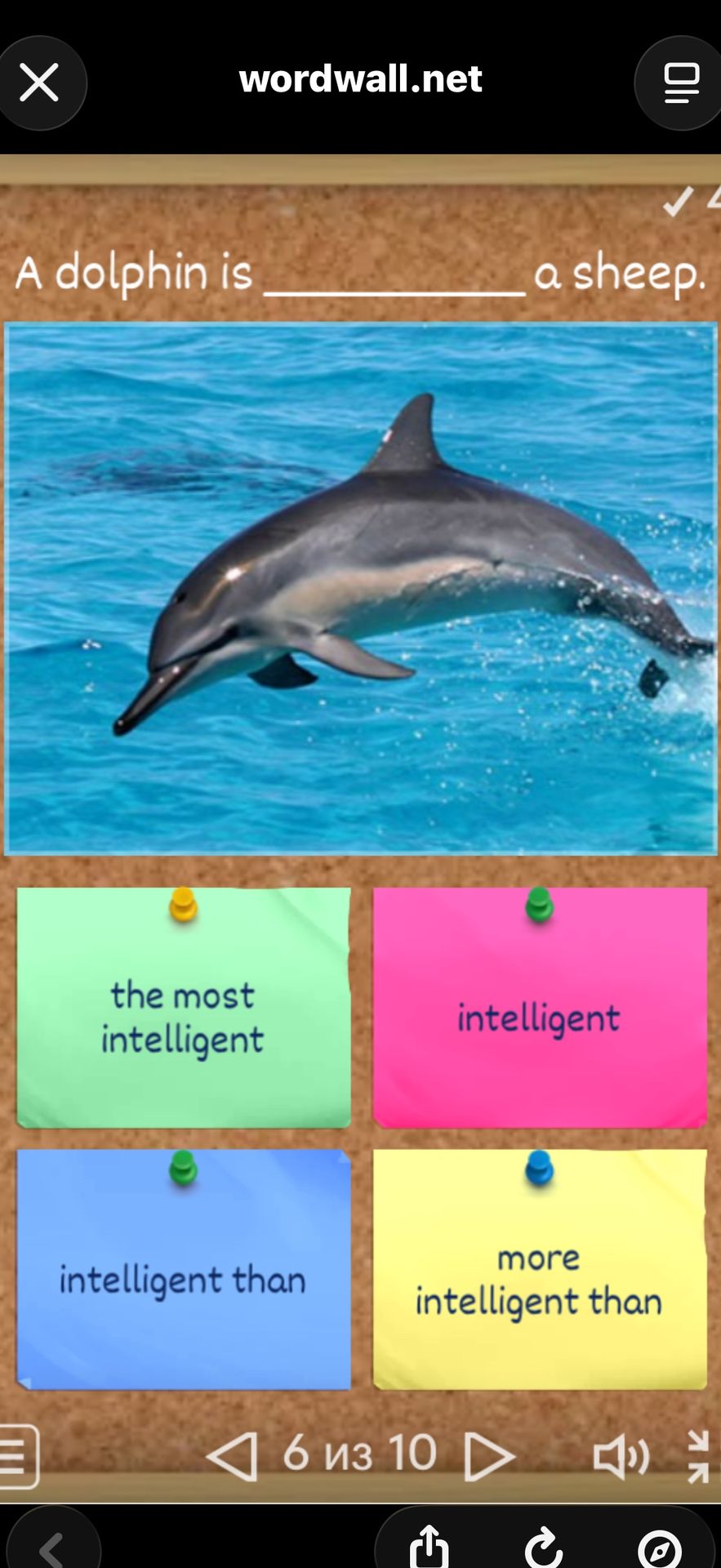Фото задания: A dolphin is __________ a sheep.