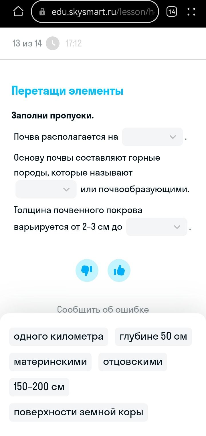 Фото задания: Почва располагается на