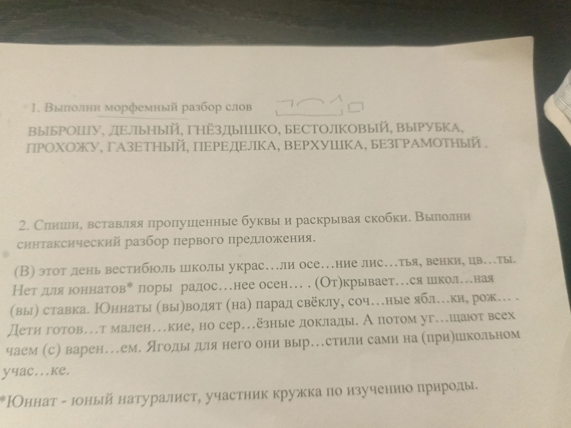 Фото задания: 1. Выполни морфемный разбор слов: ВЫБРОШУ, ДЕЛЬНЫЙ, ГНЁЗДЫШКО, БЕСТОЛКОВЫЙ, ВЫРУБКА, ПРОХОЖУ, ГАЗЕТНЫЙ, ПЕРЕДЕЛКА,…