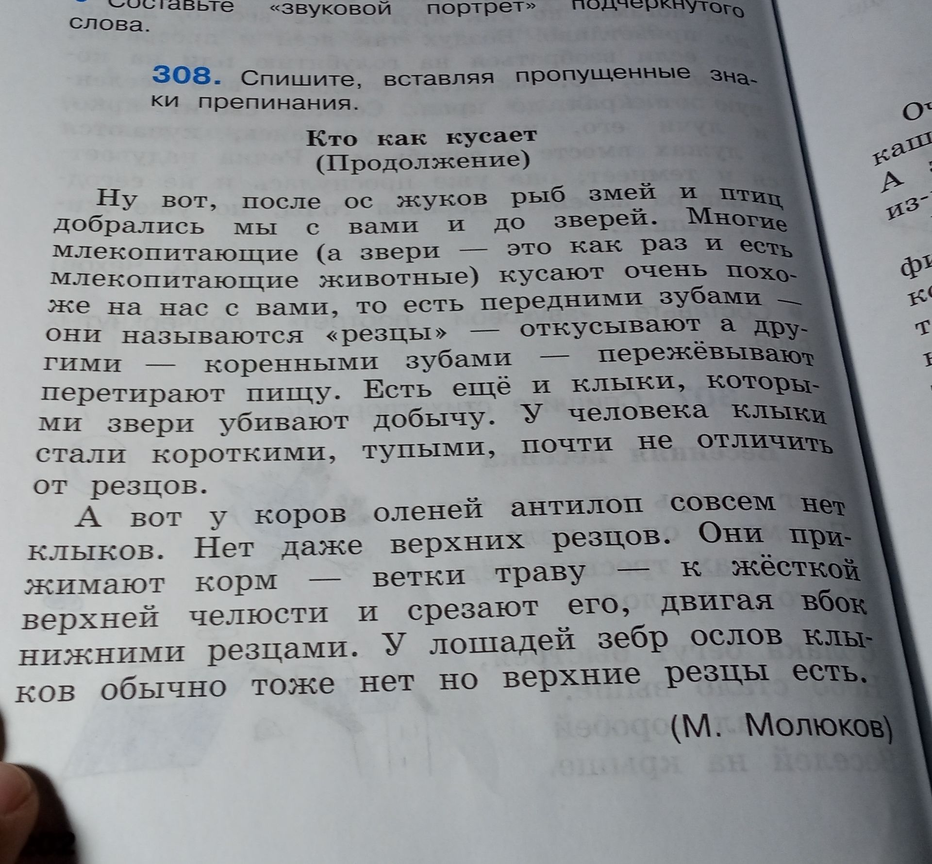 Фото задания: 308. Спишите, вставляя пропущенные знаки препинания. Кто как кусает (Продолжение) Ну вот, после ос жуков рыб змей и птиц…