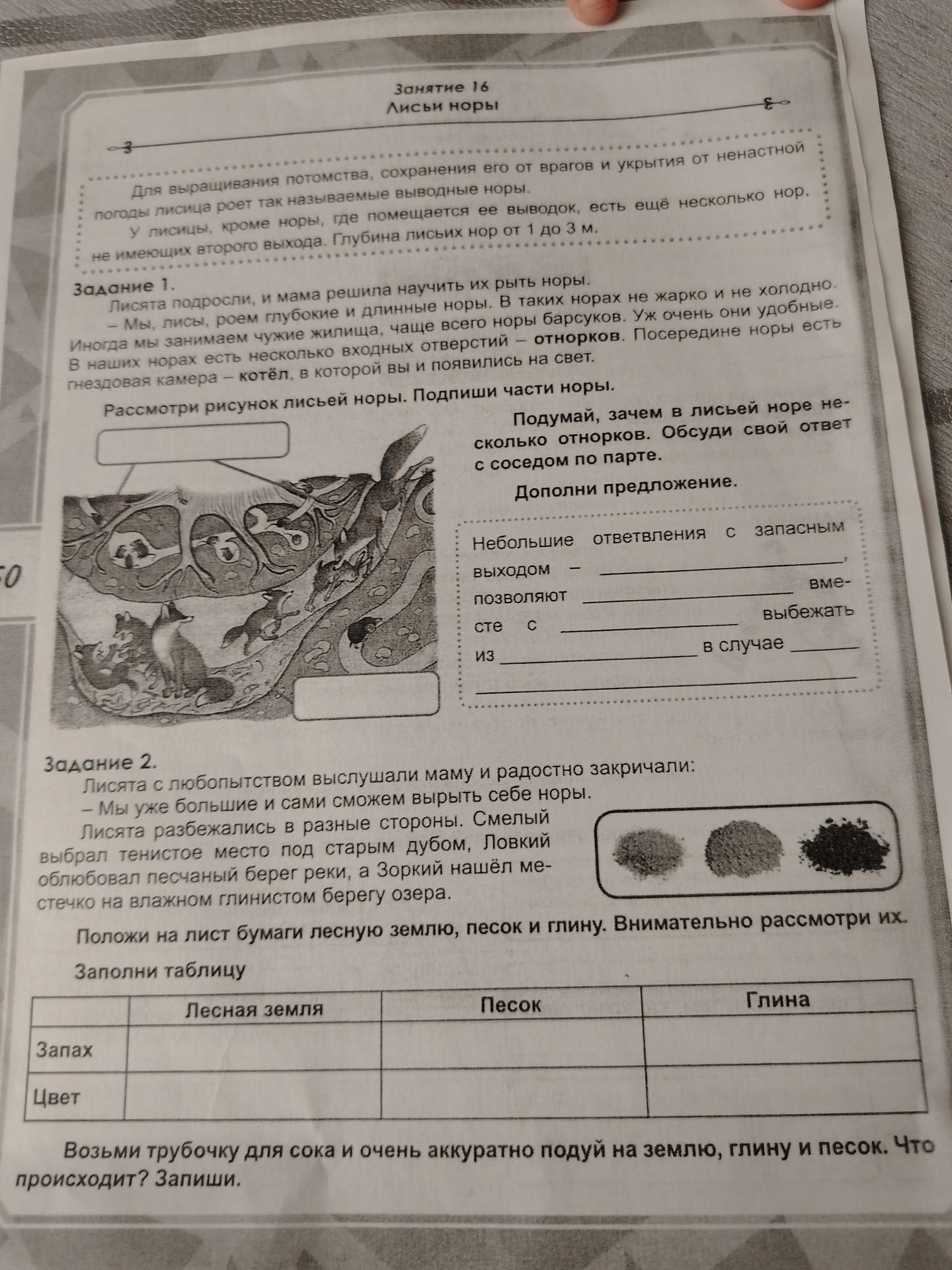 Фото задания: Задание 1. Рассмотри рисунок лисьей норы. Подпиши части норы.