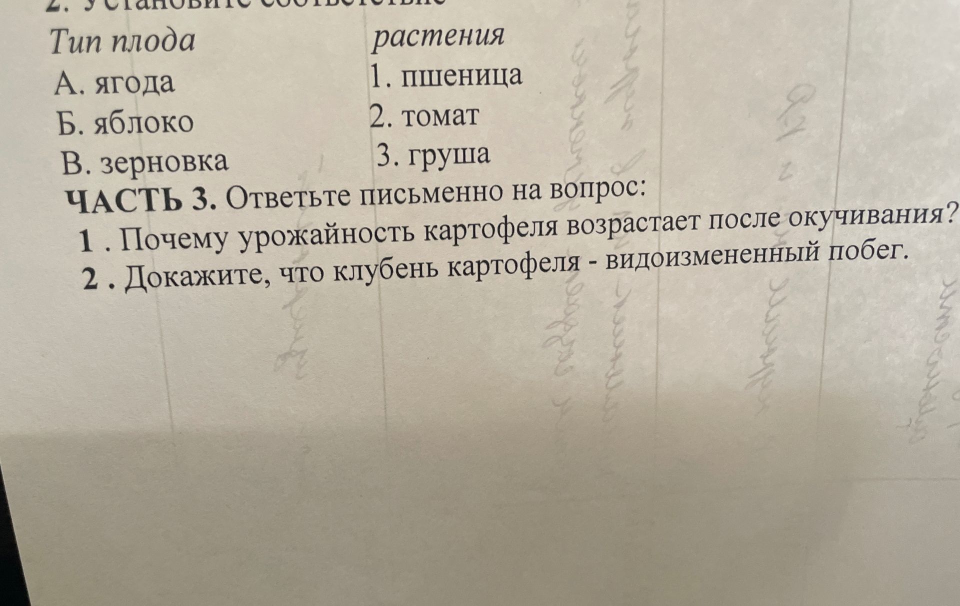 Фото задания: Тип плода А. ягода Б. яблоко В. зерновка растения 1. пшеница 2. томат 3. груша ЧАСТЬ 3. Ответьте письменно на вопрос: 1.…