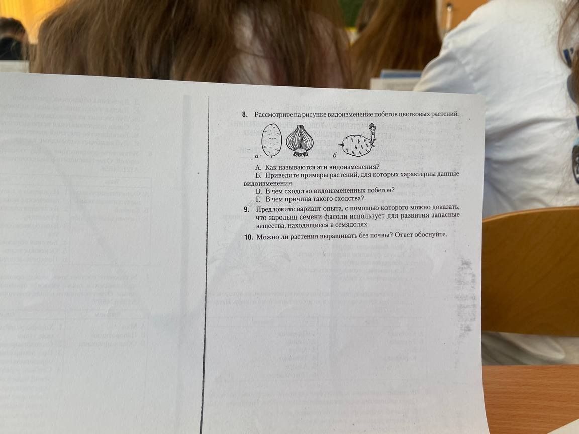 Фото задания: 8. Рассмотрите на рисунке видоизменение побегов цветковых растений. a 6 А. Как называются эти видоизменения? Б. Приведите…