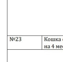 Фото задания: №23 Кошка на 4 мес