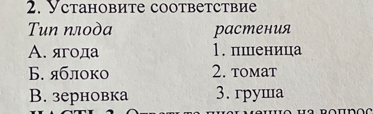 Фото задания: 2. Установите соответствие Тип плода растения А. ягода 1. пшеница Б. яблоко 2. томат В. зерновка 3. груша