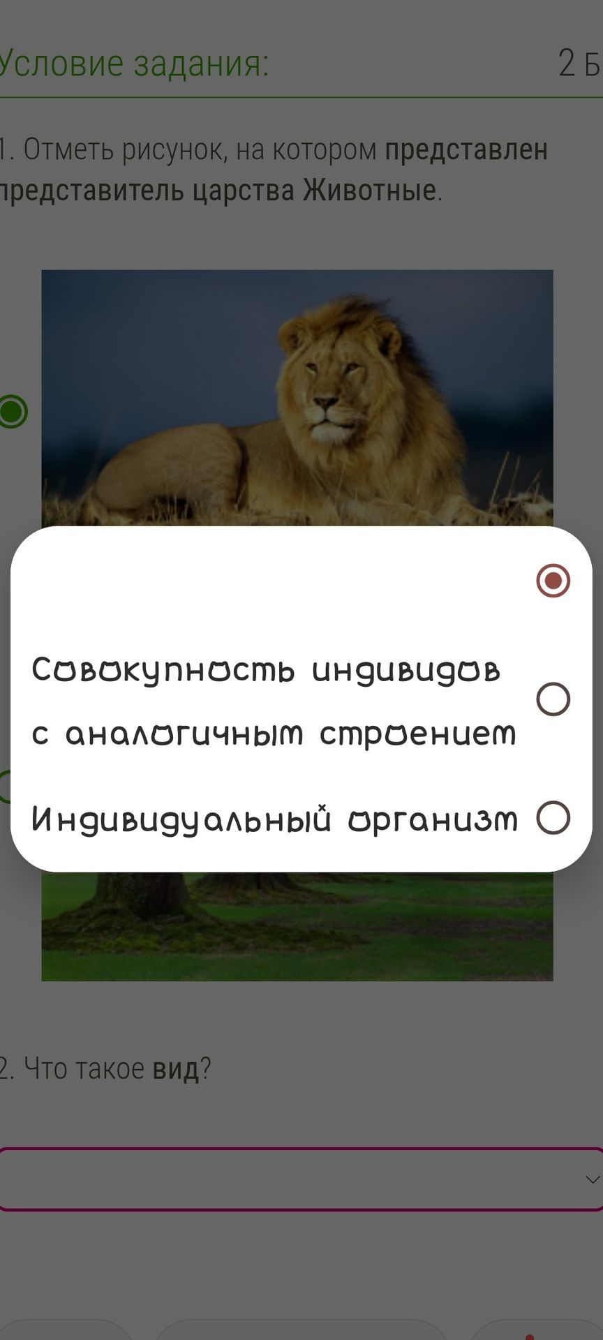 Фото задания: 2. Что такое вид?