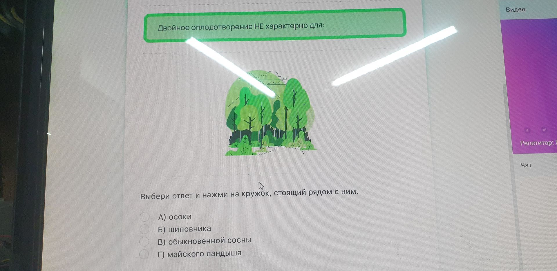 Фото задания: Двойное оплодотворение НЕ характерно для: Выберите ответ и нажми на кружок, стоящий рядом с ним.