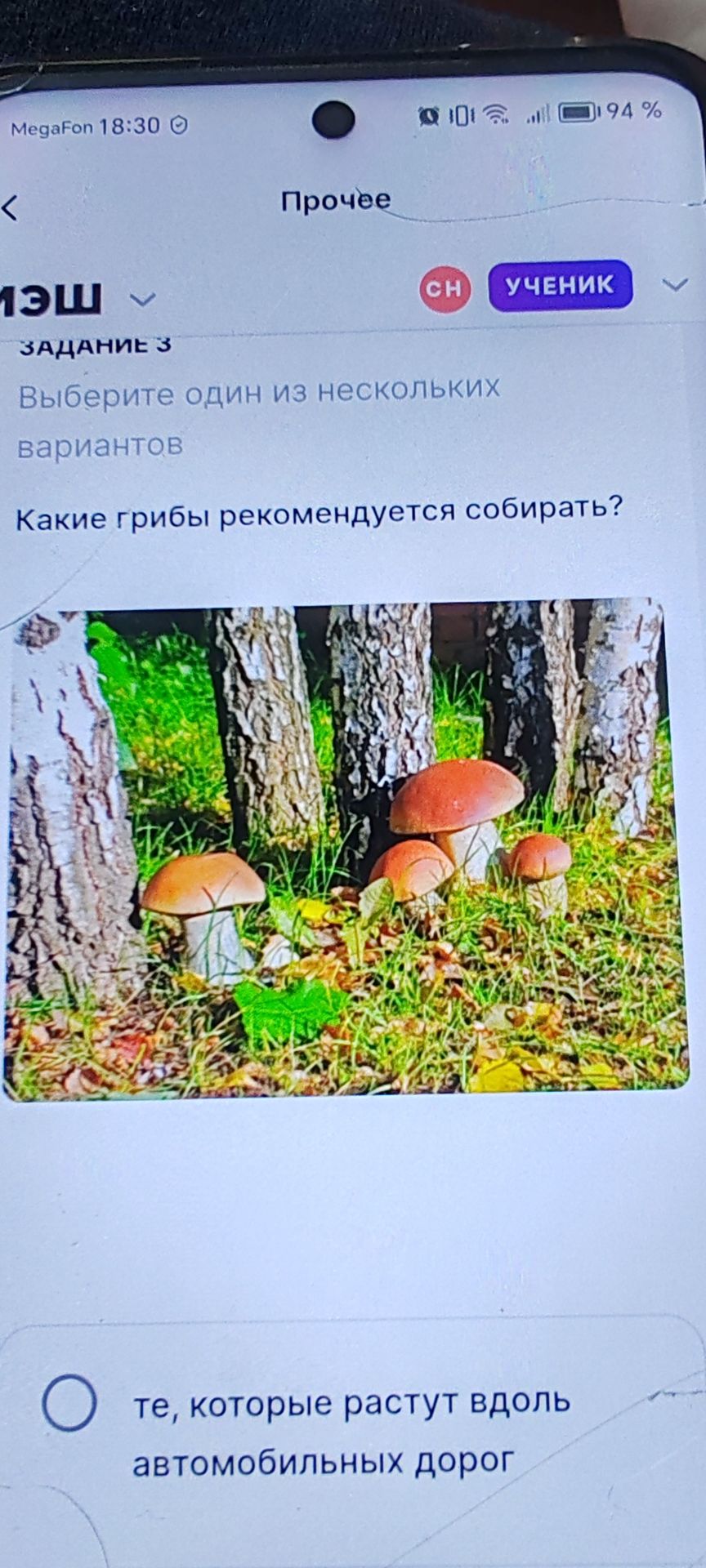 Фото задания: Какие грибы рекомендуется собирать?